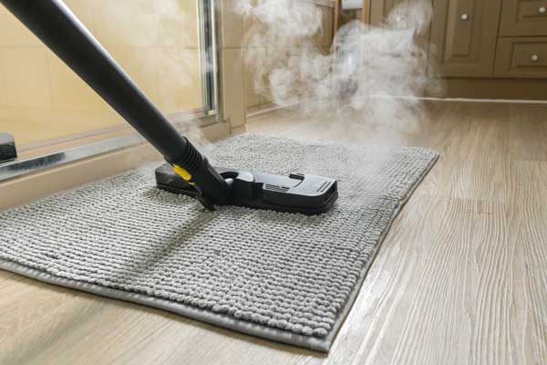 Carpet Decontamination Services